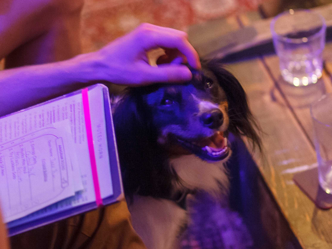 Dog_CU