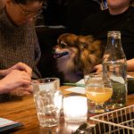 Quiz night at Muted Horn by Another Round